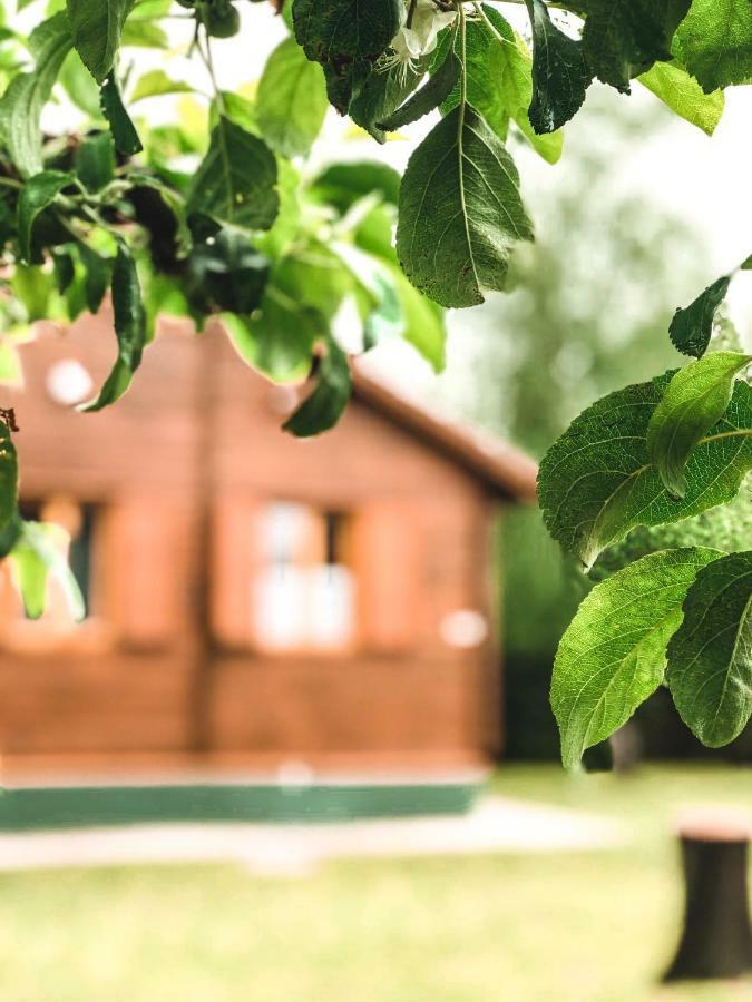 Lake House Farsang Balatonberény Екстериор снимка